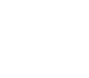DSF - 400 X 352